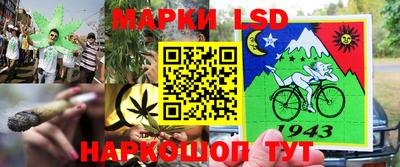 mdpv Бердск