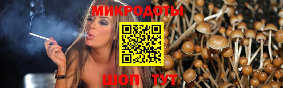 Вичуга  Галлюциногенные грибы GOLDEN TEACHER  Галлюциногенные грибы GOLDEN TEACHER  где найти наркотики  Вход с VPN 