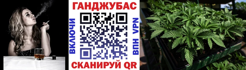 Бошки Шишки THC 21%  даркнет сайт  Вичуга 